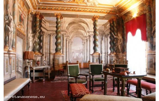 Volta e pareti del Salone delle Feste