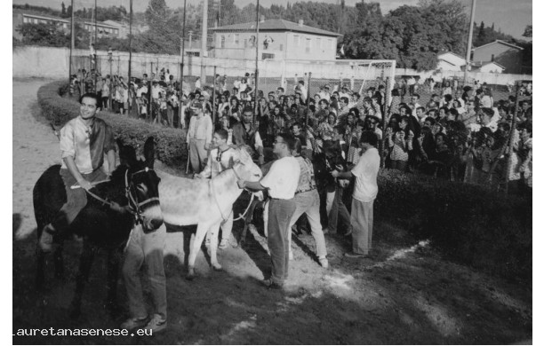 1994 - I ciuchi poco prima della partenza