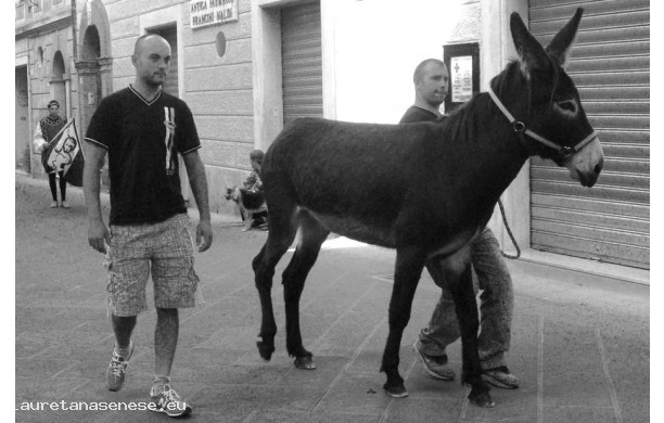 2010 - Corteo Storico