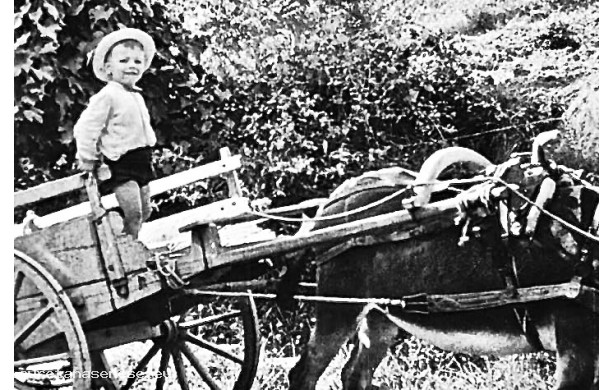 1962 - Il Gattavecchi sul barroccio