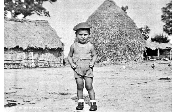 1952 - Un bel cittino che gioca nell'aia