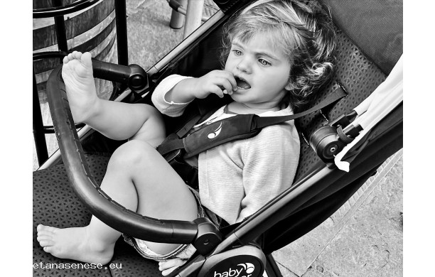 2023, Domenica 8 Ottobre - L'erede di casa Donati