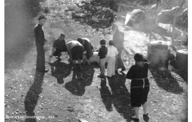 1958 - Il giorno della sporcellata
