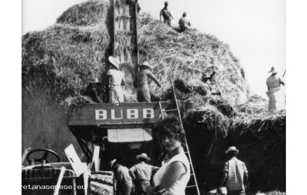 1953 - Tribbiatura a Scacciacucculi - il pagliaio