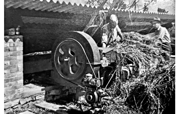 1954? - Trinciaforaggi con motorino a scoppio