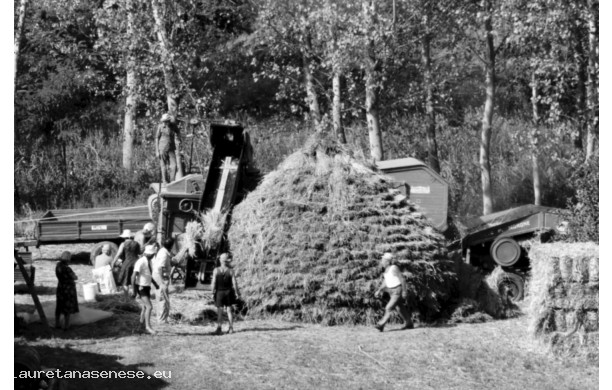 1964 - Le ultime trebbiatrici