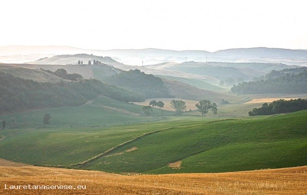 From Fontanelle to Caliano