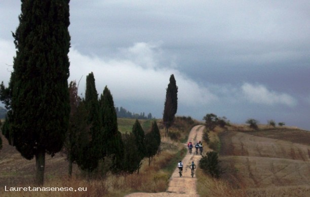 Between Val d'Arbia and Val d'Asso through Chiusure