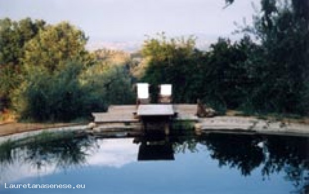 Agriturismo SAN MARTINO